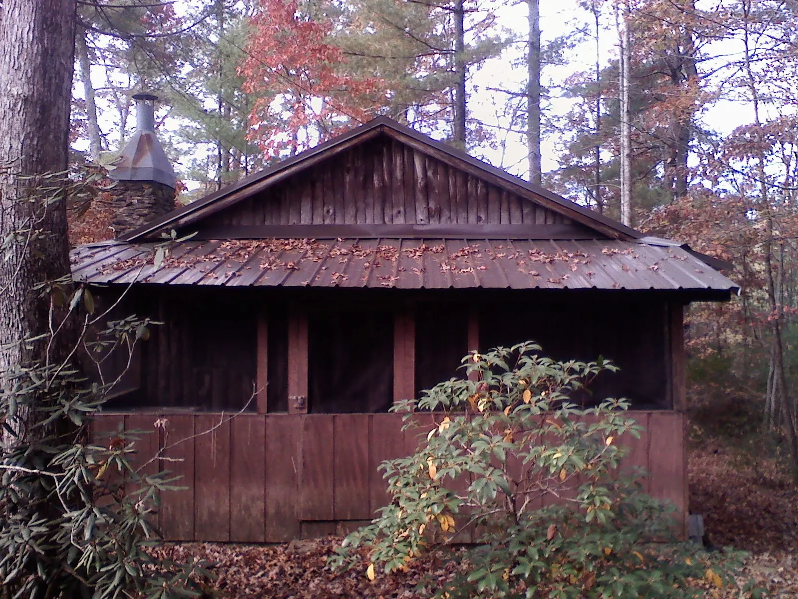 Metal roof over the screened porch of a rustic cabin in Bloomsbury